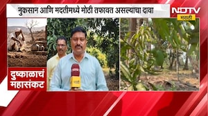 Sindhudurg| आंबा-काजू उत्पादकांना नुकसान भरपाई; अपुऱ्या मदतीमुळे बागायतदार नाराज,याचाच घेतलेला आढावा