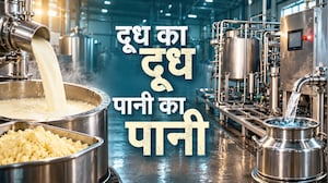 Special Report|दुधातून दररोज मिळवलं जातंय हजारो लिटर पाणी; हा प्रयोग नेमका कसा सुरू झाला? फायदा कसा?