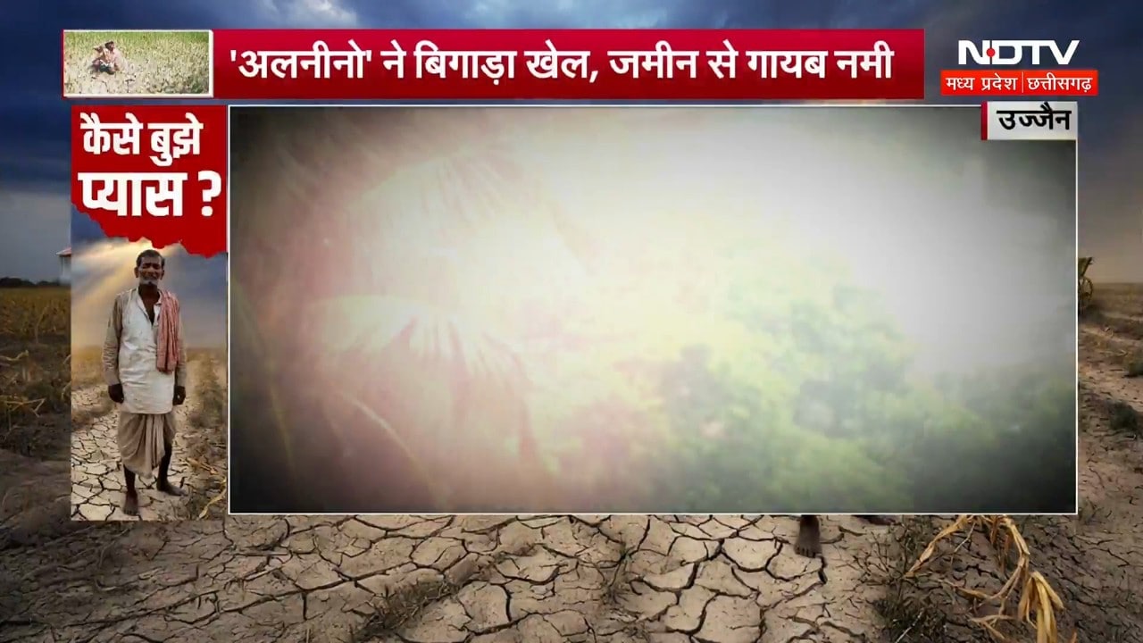 Weather Alert: El Niño ने बिगाड़ा खेल, फसलें बर्बाद, चिंता में डूबे Farmers! Heavy Rain | MP News