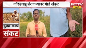 अहिल्यानगरमध्ये दुष्काळाचा दूध व्यावसायिकांना फटका, भंडाऱ्यात अत्यल्प पावसामुळे धानपिकाला फटका