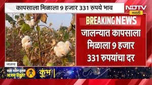 Jalna | जालन्यात कापसाला विक्रमी 9 हजार 331 रुपयांचा दर, शेतकऱ्यांमध्ये समाधान ।  NDTV मराठी