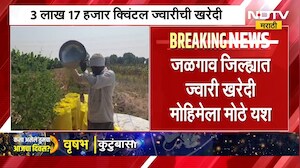 Jowar procurement in Jalgaon | जळगाव जिल्ह्यात ज्वारी खरेदीला मोठं यश, 3 लाख 17 हजार क्विंटल खरेदी