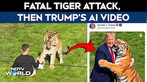 VIRAL VIDEO: Trump Shares AI Video of Himself Playing With Tiger After Brutal UK Attack