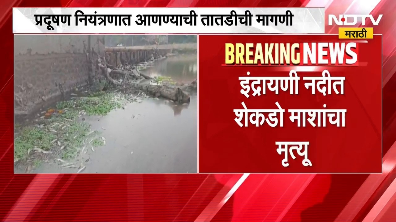 Indrayani River Pollution | आळंदीत इंद्रायणी नदीच्या प्रदूषणाचा प्रश्न पुन्हा गंभीर | NDTV Marathi