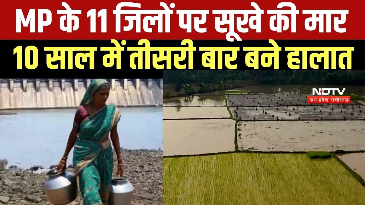 Moansoon Update: MP के 11 जिलों पर सूखे की मार, 10 साल में तीसरी बार बने हालात । Top News
