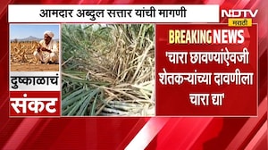 "चारा छावण्यांऐवजी शेतकऱ्यांच्या दावणीला चारा द्या", आमदार Abdul Sattar यांची मागणी | NDTV Marathi