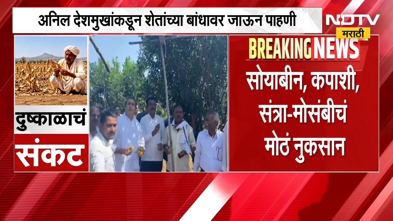 Nagpur मध्ये दुष्काळाचा शेतीला फटका, Anil Deshmukh यांच्याकडून शेतांच्या बांधावर जाऊन पाहणी | NDTV