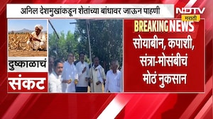 Nagpur मध्ये दुष्काळाचा शेतीला फटका, Anil Deshmukh यांच्याकडून शेतांच्या बांधावर जाऊन पाहणी | NDTV