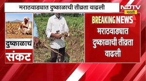 Marathwada Drought| मराठवाड्यात दुष्काळाची तीव्रता वाढली; 8290 गावात दुष्काळाचे चटके | NDTV Marathi