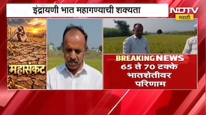 Maval News| दुष्काळाचा इंद्रायणी भात पिकाला मोठा फटका, 65 ते 70 टक्के भातशेतीवर परिणाम |NDTV Marathi