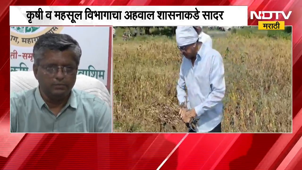 कमी पावसामुळे Washim जिल्ह्यातील पिकांचे नुकसान, 3 लाख 98 हजार हेक्टरवरील पिकाचे सर्वेक्षण पूर्ण