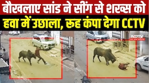 Mandla News: राहगीर पर सांड का जानलेवा हमला, CCTV में कैद खौफनाक मंजर! । Breaking News