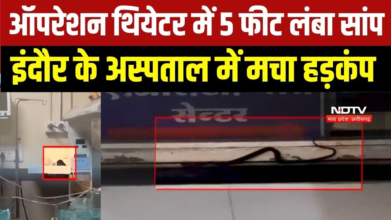 Snake in Operation Theatre: Indore में अस्पताल के ऑपरेशन थियेटर में निकला 5 फीट लंबा सांप । MP News