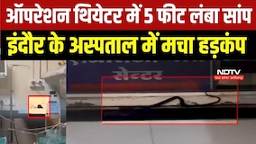Snake in Operation Theatre: Indore में अस्पताल के ऑपरेशन थियेटर में निकला 5 फीट लंबा सांप । MP News