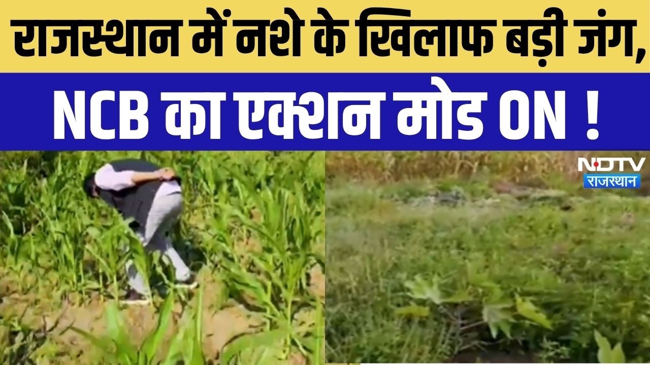 Drug Free Rajasthan: राजस्थान में नशे के खिलाफ बड़ी जंग, NCB का एक्शन मोड ON | NCB Action Rajasthan