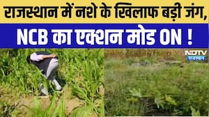 Drug Free Rajasthan: राजस्थान में नशे के खिलाफ बड़ी जंग, NCB का एक्शन मोड ON | NCB Action Rajasthan