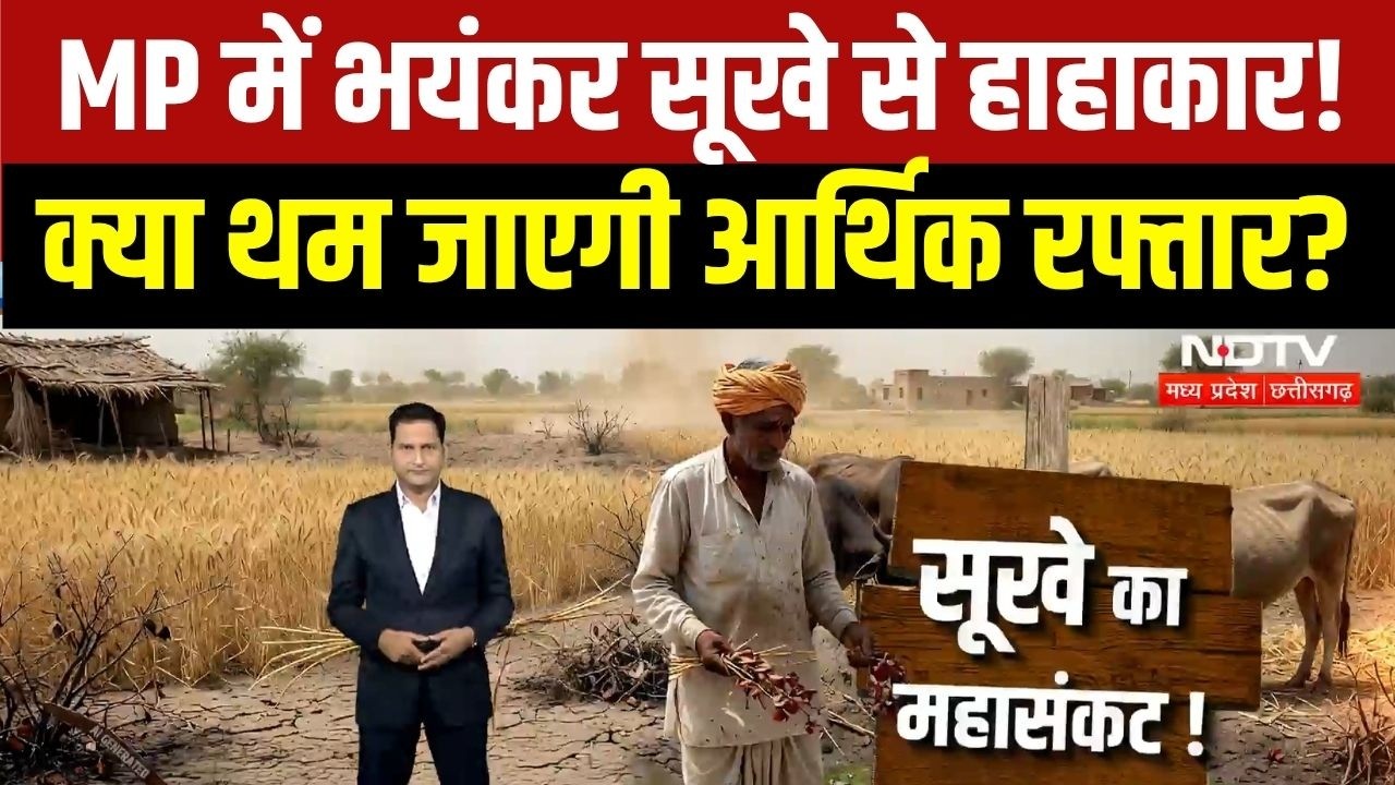 MP Drought: सूखे का महासंकट झेल रहे MP में सबसे बड़ा Danger Zone कहां? क्या थम जाएगी आर्थिक रफ्तार?