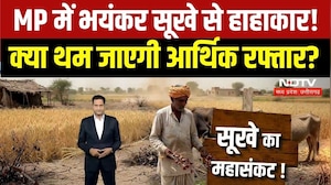 MP Drought: सूखे का महासंकट झेल रहे MP में सबसे बड़ा Danger Zone कहां? क्या थम जाएगी आर्थिक रफ्तार?