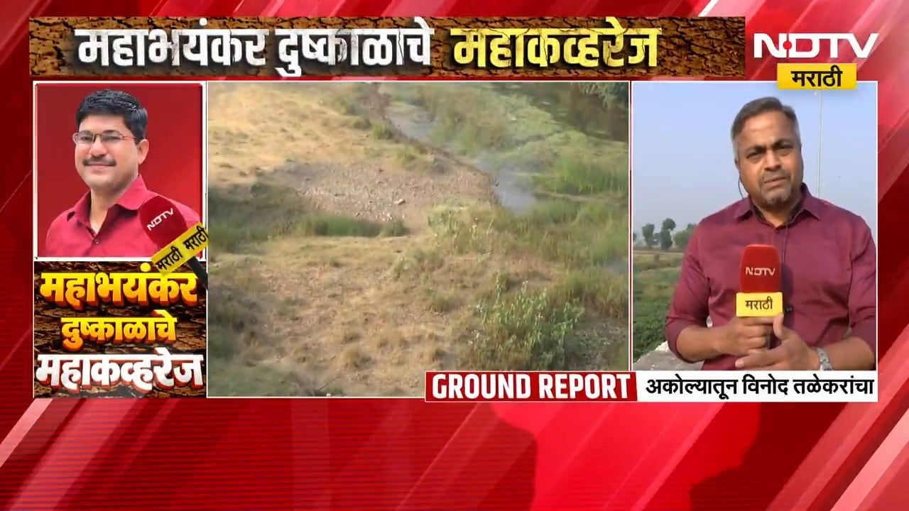 Akola Drought | काटेपूर्णा नदी कोरडीठाक, अकोल्यात दुष्काळामुळे महाभयंकर स्थिती | NDTV Marathi