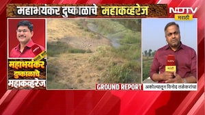 Akola Drought | काटेपूर्णा नदी कोरडीठाक, अकोल्यात दुष्काळामुळे महाभयंकर स्थिती | NDTV Marathi