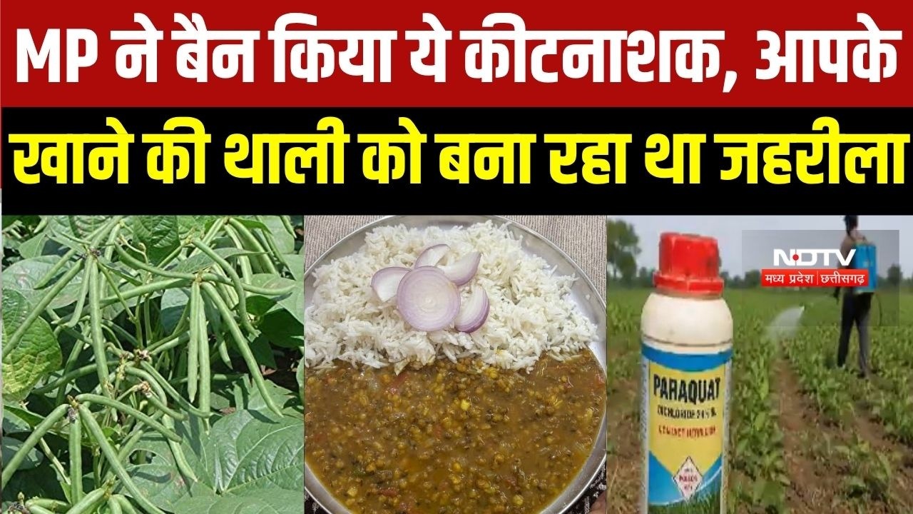 CM Mohan की सरकार ने MP में बैन किया Paraquat Dichloride, खाने की थाली में किसे बना रहा था जहरीला?