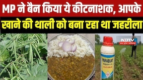 CM Mohan की सरकार ने MP में बैन किया Paraquat Dichloride, खाने की थाली में किसे बना रहा था जहरीला?