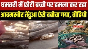 Dhamtari Leopard: 12 साल की बच्ची पर हमला कर रहा था आदमखोर तेंदुआ, गांव वालों ने ऐसे दबोचा