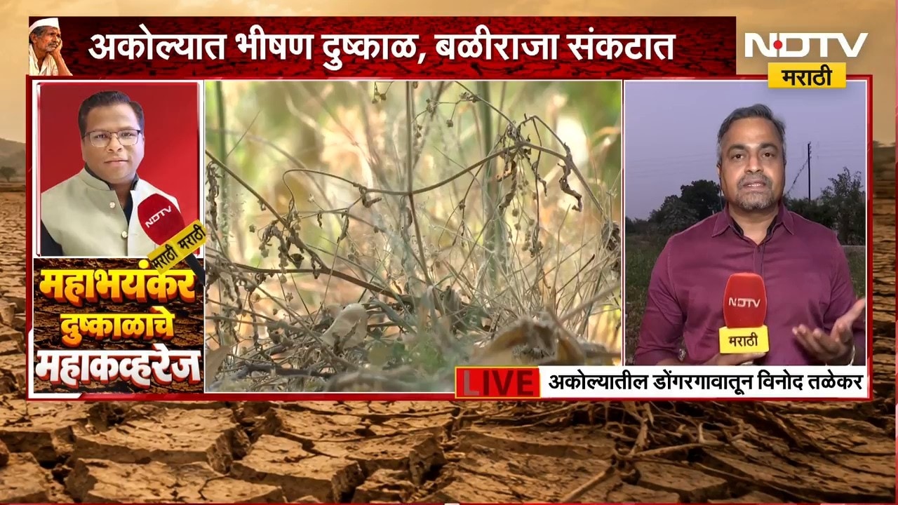 Akola Drought| अकोल्यातील डोंगरगावात दुष्काळाची स्थिती काय? सांगताहेत विनोद तळेकर | NDTV मराठी