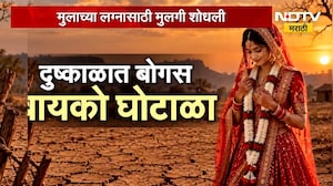 Special Report| दुष्काळात बोगस बायको घोटाळा; लग्नाच्या दुसऱ्याच दिवशी नवरी पसार,कुठे घडलाय हा प्रकार