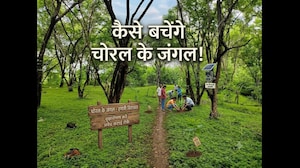 Indore Chor​​al Forest: चोरल के जंगलों में 2.5 लाख पेड़ों की कटाई पर रोक! HC का बड़ा दखल! । Breaking