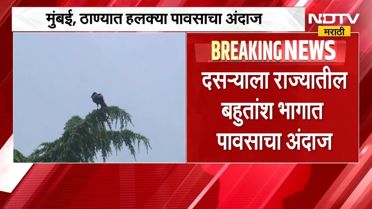 Maharashtra Rain Update | राज्यातील काही भागाला पावसाचा यलो अलर्ट, कोणत्या जिल्ह्यात कोसळधार?