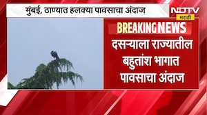 Maharashtra Rain Update | राज्यातील काही भागाला पावसाचा यलो अलर्ट, कोणत्या जिल्ह्यात कोसळधार?