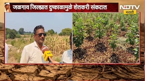 Jalgaon Drought | जळगाव जिल्ह्यात दुष्काळामुळे शेतकरी संकटात, अग्रीम मदतीवरुन नाराजी | NDTV