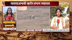 Dharashiv Drought| धाराशिवमध्ये दुष्काळाची दाहकता वाढली, पावसाअभावी खरीप हंगाम जळाला | NDTV Marathi