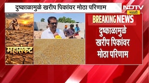 Jalgaon Drought | जळगावमध्ये मका, सोयाबीन उत्पादनात घट; दुष्काळाचा शेतकऱ्यांना फटका | NDTV Marathi