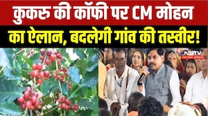 Kukru Coffee Plantation: बैतूल के कुकरू में उगेगी कॉफी! Farmers की बढ़ेगी कमाई? CM Mohan Yadav | MP
