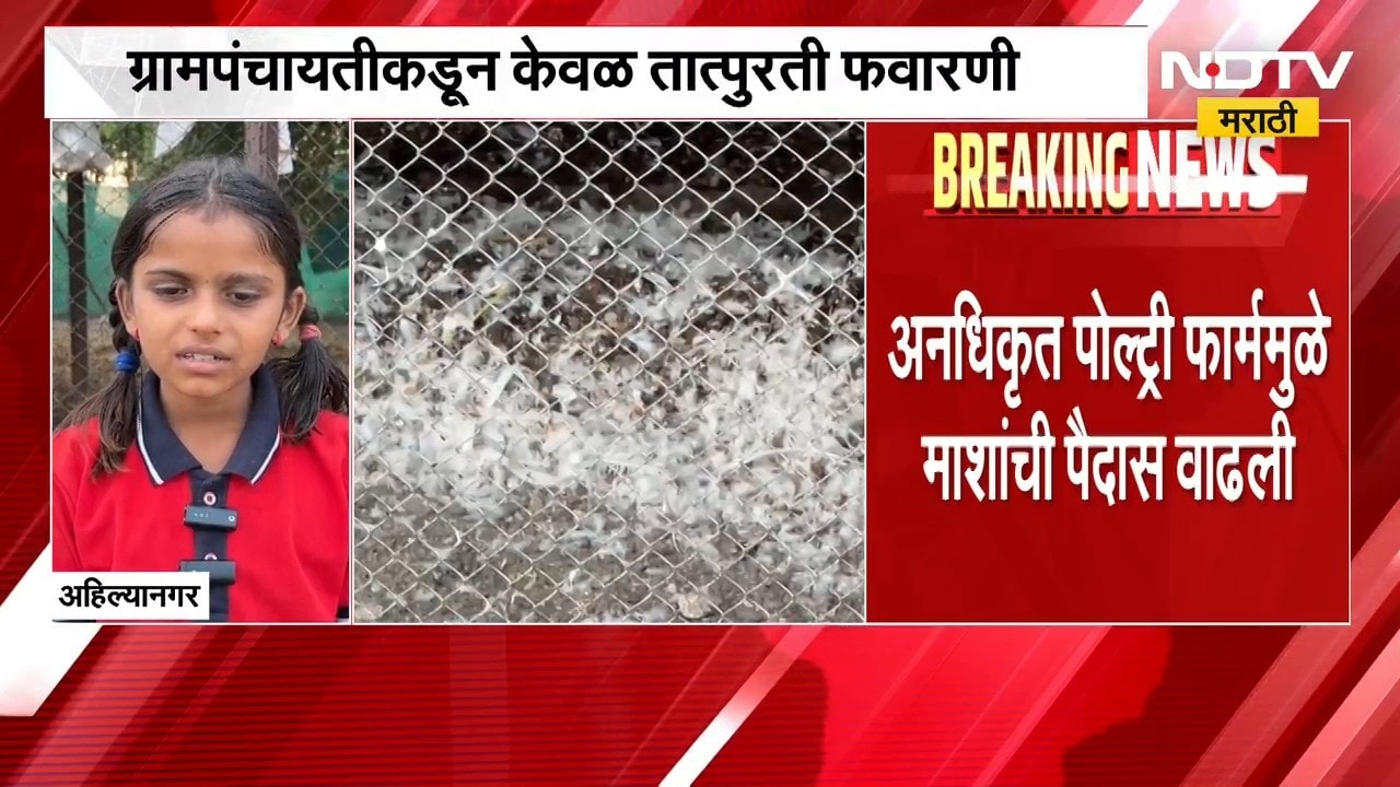 Ahilyanagar| अनधिकृत पोल्ट्री फार्ममुळे माशांची पैदास वाढली, संसर्गजन्य आजाराचा धोकाही वाढला | NDTV