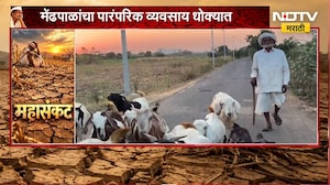 Ahilyanagar Drought| मेंढपाळांचा पारंपरिक व्यवसाय धोक्यात, चारा- पाण्याच्या टंचाईने मेंढपाळ संकटात