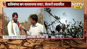 Jalna मध्ये डाळिंबांच्या बागांना फटका; डाळिंबांच्या बागा वाचवायच्या कशा ?, शेतकरी हवालदिल | NDTV
