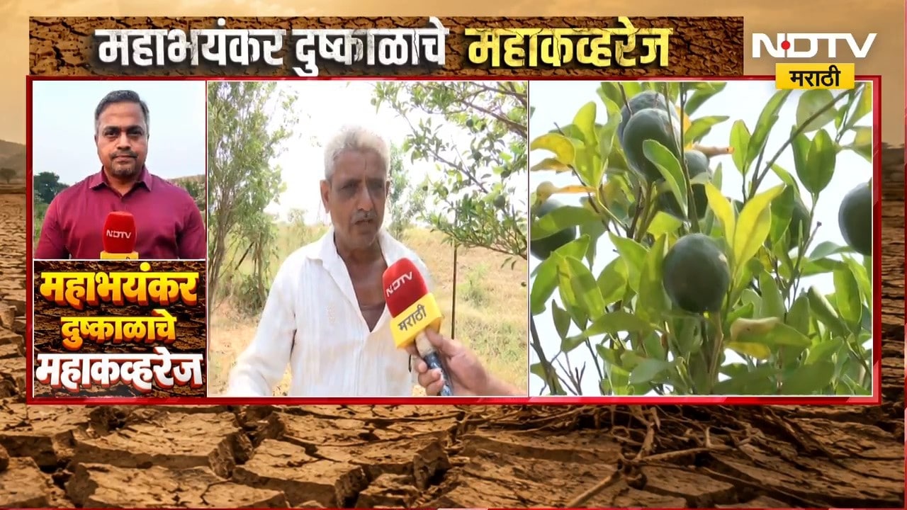Washim Drought | खरीप पिकासोबत बागायती शेतीलाही दुष्काळाचा फटका, वाशिमधून NDTV मराठीचा Ground Report