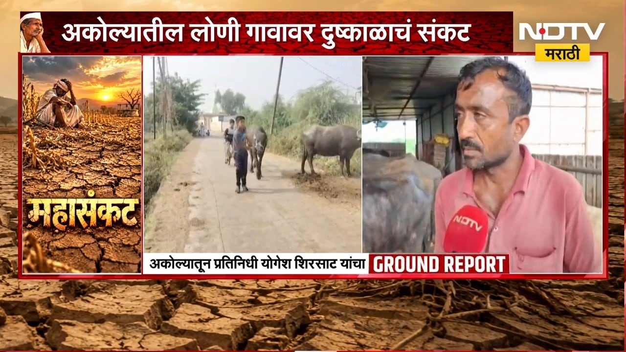 Akola Drought | पशुखाद्य महागल्याने खर्च वाढला, पशुपालकांवर जनावरं विकण्याची वेळ | NDTV Marathi