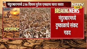 Nandurbar Drought | नंदुरबारमध्ये दुष्काळाचे संकट गडद, जिल्ह्याबाहेर चारा वाहतुकीवर प्रशासनाची बंदी
