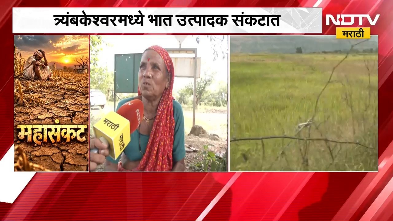 Nashik Drought | दोन महिन्यांपासून पावसाची दडी, भात पिकाच्या नुकसानीने शेतकरी चिंतेत | NDTV Marathi