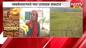 Nashik Drought | दोन महिन्यांपासून पावसाची दडी, भात पिकाच्या नुकसानीने शेतकरी चिंतेत | NDTV Marathi