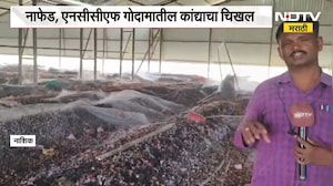Nashik| NAFED, NCCF गोदामात 9 लाख क्विंटल कांदा सडला; कांदा सडलेल्या गोडाऊनमधून घेतलेला आढावा | NDTV