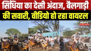 Jyotiraditya Scindia Bullock Cart Ride | किसानों के बीच सिंधिया का देसी अंदाज | Ashoknagar News