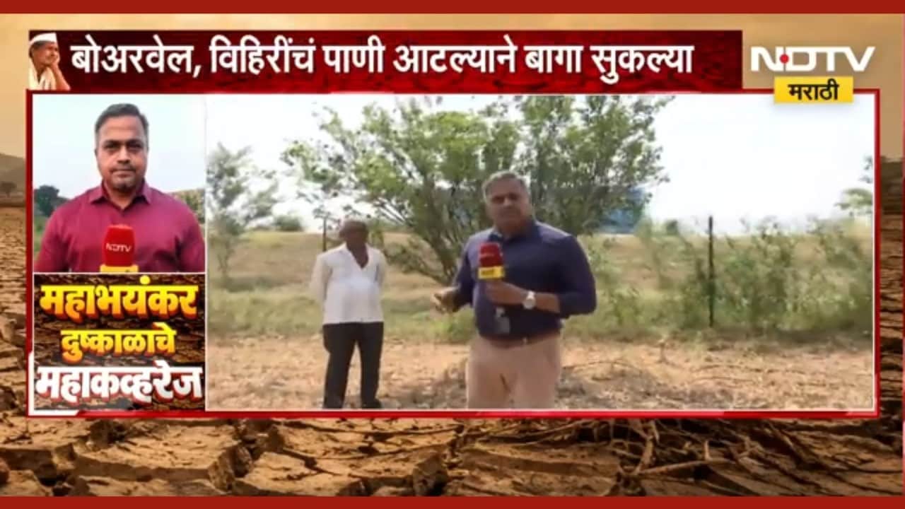 Washim Drought| संत्रा बागायती पिकालाही दुष्काळाचा फटका, बागांची काय स्थिती ? याचाच घेतलेला आढावा