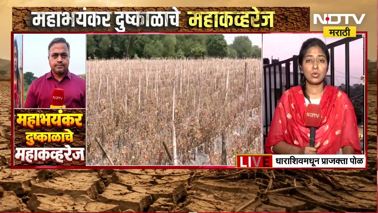 Dharashiv Drought| धाराशिवमध्ये शेतकरी मोठ्या संकटात, याच भीषण परिस्थितीचा आढावा घेतलाय NDTV मराठीने