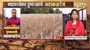 Dharashiv Drought| धाराशिवमध्ये शेतकरी मोठ्या संकटात, याच भीषण परिस्थितीचा आढावा घेतलाय NDTV मराठीने