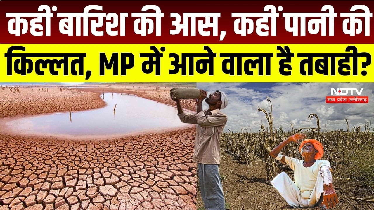 MP Weather Alert: Rain की कमी से बिगड़े हालात, MP में जल संकट की आहट! | Monsoon | Farmer | IMD | MP